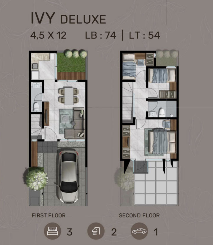Northwest Hill Tipe Ivy Deluxe