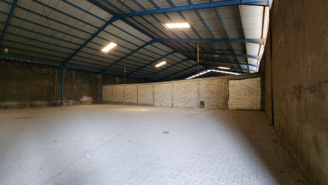 Foto 8