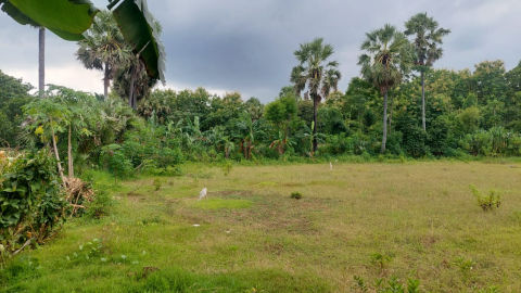 Dijual Tanah / Lahan Raya Tuban