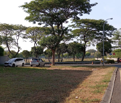 Dijual Tanah Citraland Cluster Woodland