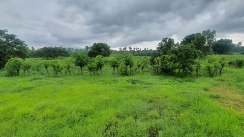 Dijual Tanah Tulamben Bali