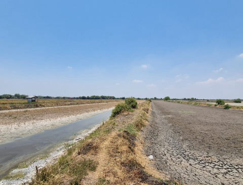 Dijual Tanah Betoyo Raya Manyar Gresik
