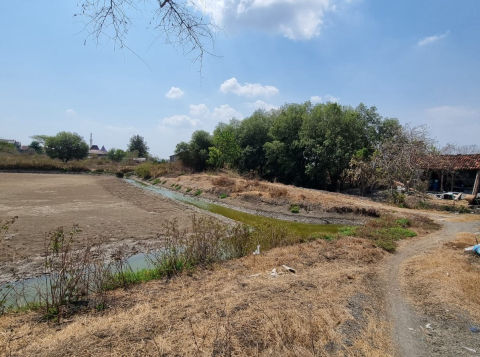 Dijual Tanah Tambak Bedanten Bungah Gresik