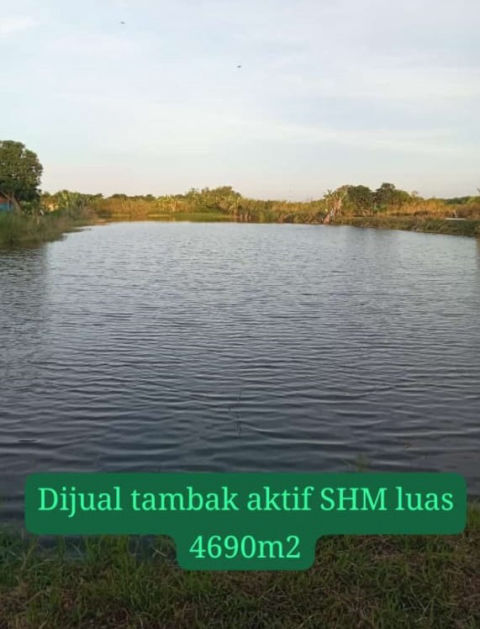 Dijual Tambak Aktif Cerme Gresik