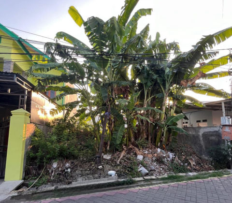 Dijual Tanah Wonorejo Rungkut