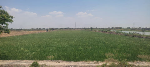 Dijual Tanah Raya Tambak Beras Cerme Gresik