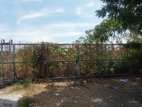 Dijual Tanah Desa Sukomulyo Manyar Gresik