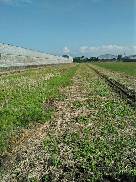 Dijual Tanah Komersial Sawocangkring, Sidoarjo