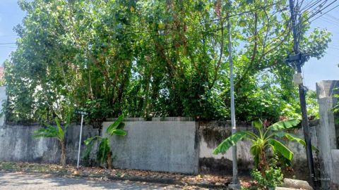 Dijual Tanah Manyar Tirtoyoso