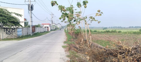 Dijual Tanah Industri Mojokerto