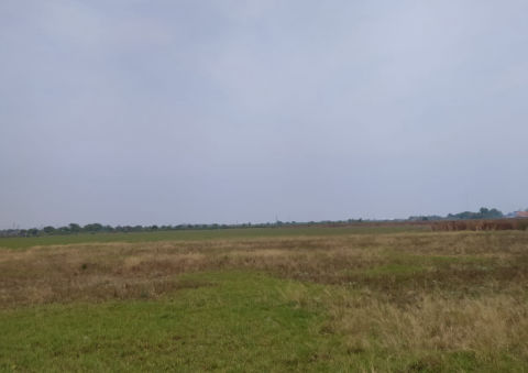 Dijual Tanah Sawah Raya Babat Lamongan