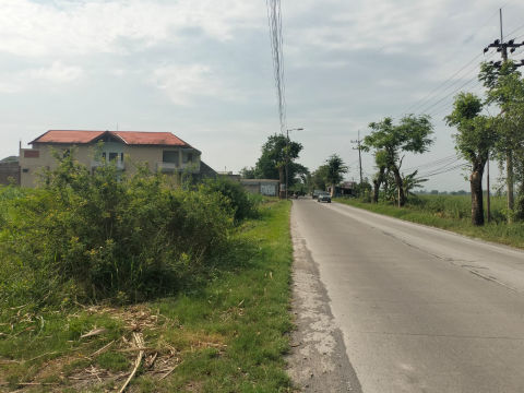 Dijual Tanah Industri dan Pergudangan Tumpak Sidoharjo Gedeg Mojokerto