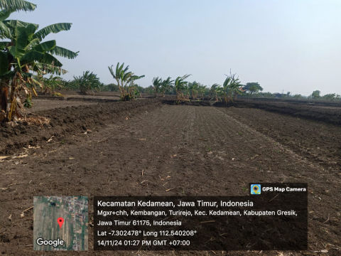 Dijual Tanah Bringkang Kedamean