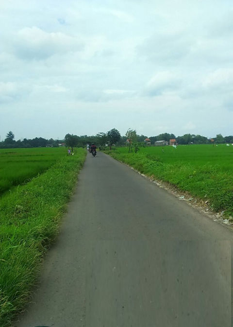 Dijual Tanah Sawah Banjar Anyar Sidoarjo