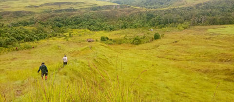 Dijual / Disewa Lahan Pertanian dan Peternakan