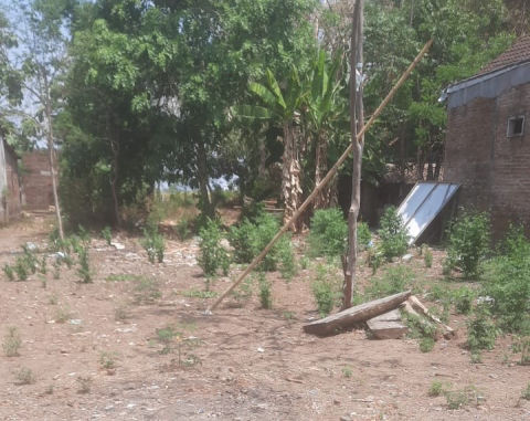 Dijual Tanah Windurejo Mojokerto