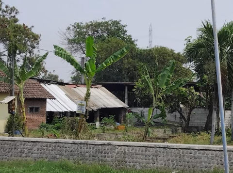 Dijual Tanah Dusun Dongol Krian Sidoarjo
