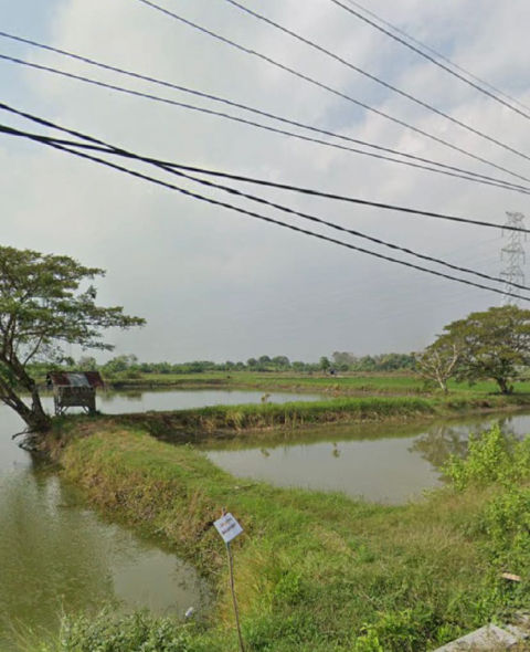Dijual Tanah Jalan Pantura Desa Sumari Gresik