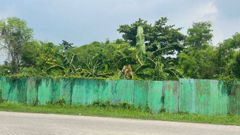 Dijual Tanah Griyo Mapan Sentosa