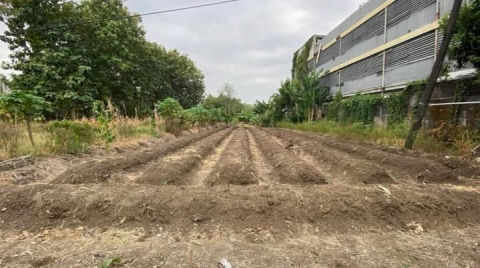 Dijual Tanah Jalan Raya Made