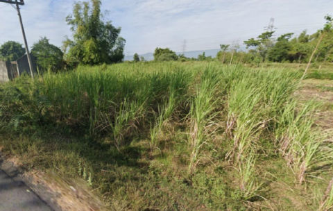 Dijual Tanah Desa Sumberkare, Probolinggo