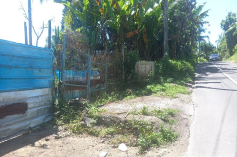Dijual Tanah di Ubud, Bali