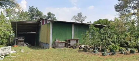 Dijual Tanah Desa Toyomarto, Singosari Malang
