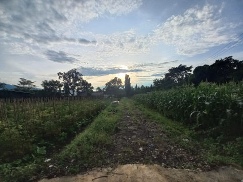 Dijual Tanah Batu Malang