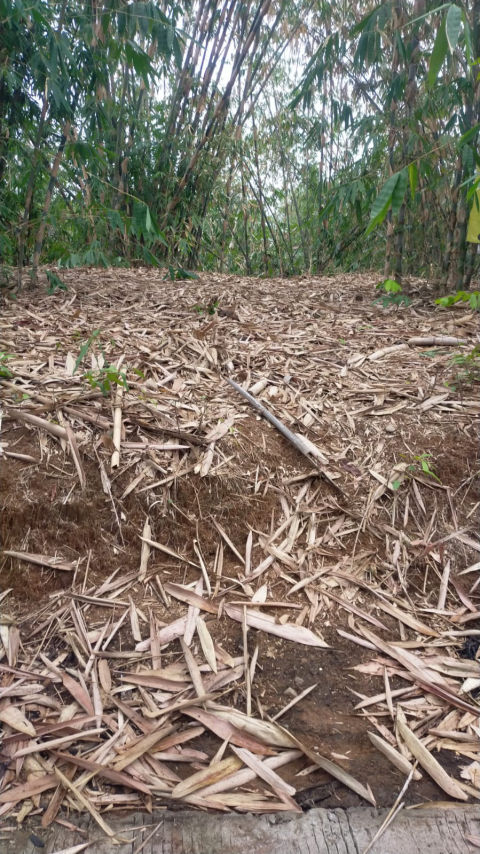 Dijual Tanah Desa Sukabungah Bojong Mangu Bekasi
