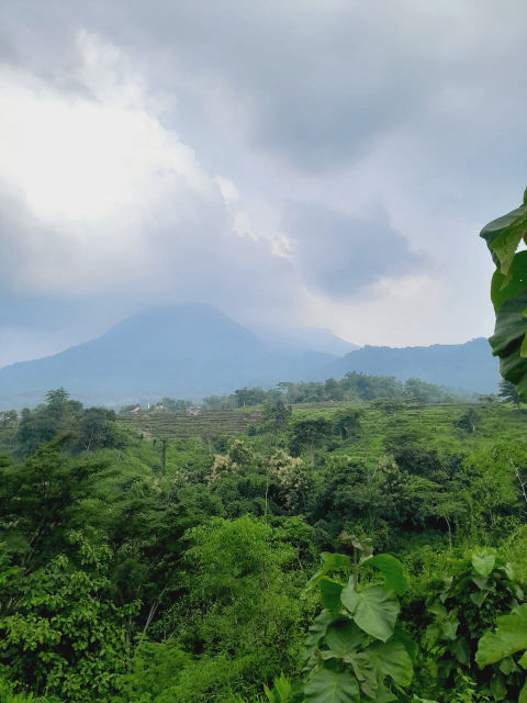 Dijual Tanah Kebun di Trawas