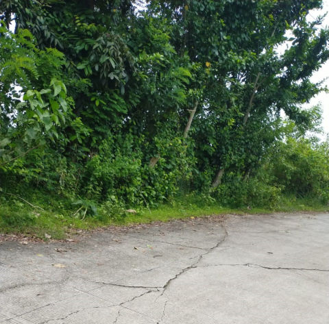 Dijual Tanah Jalan Utama Desa Ridogalih Bekasi