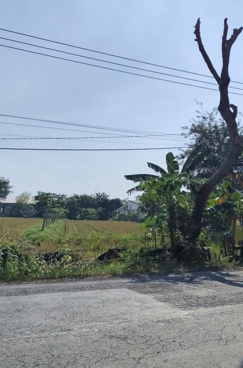 Dijual Tanah Jalan Raya Babat Jombang