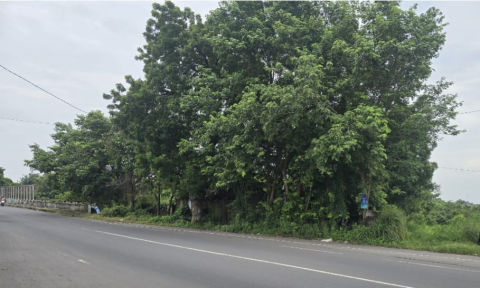 Dijual Tanah Raya Bangil Pandaan