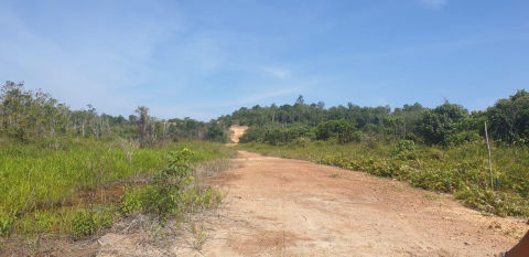 Dijual Tanah Ambarawang Kalimantan Timur