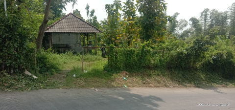 Dijual Tanah Jalan Kahuripan Pacet Mojokerto