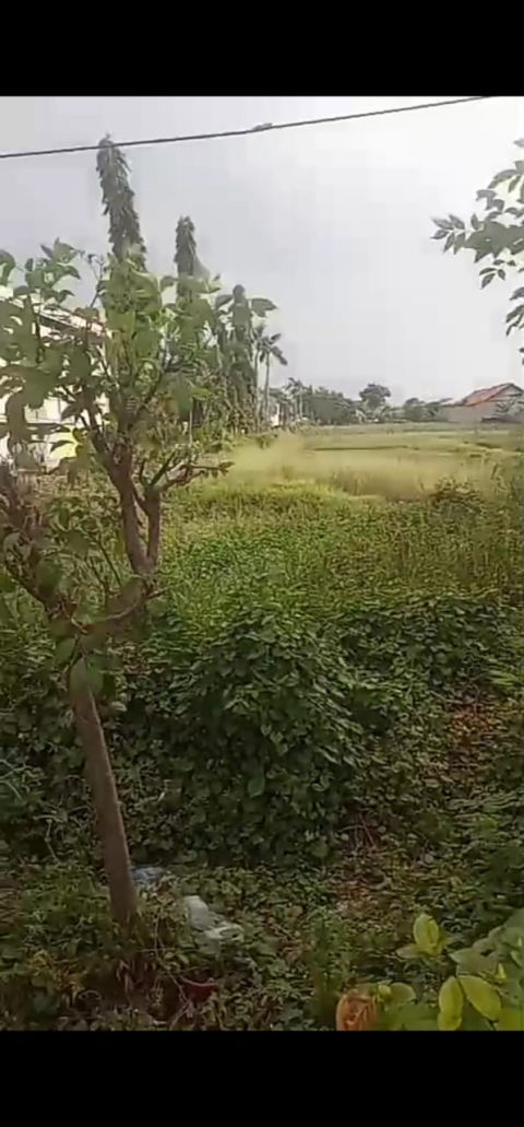 Disewa Tanah Jalan Achmad Yani Pasuruan