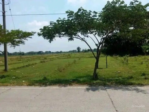 Dijual Tanah Jalan Kutorejo Mojosari