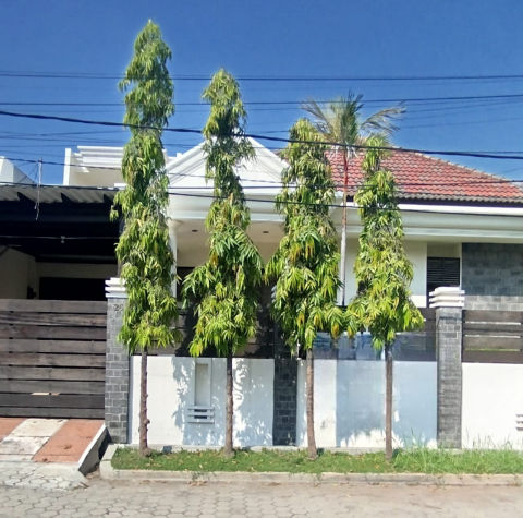 Dijual Rumah Jemursari