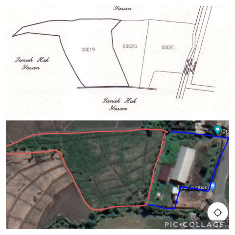 Dijual Tanah Semut Welang, Purwodadi Pasuruan