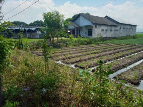 Dijual Tanah Jalan Raya Pasir Putih Besuki Situbondo