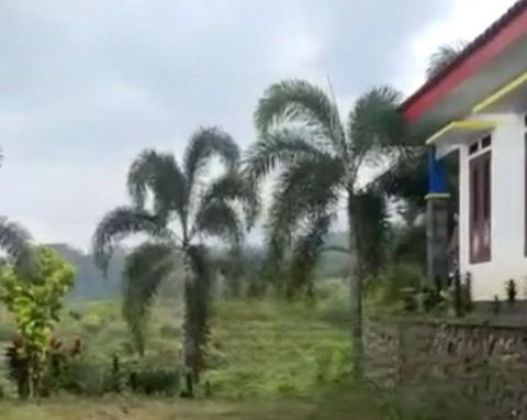 Dijual Tanah Wonosalam