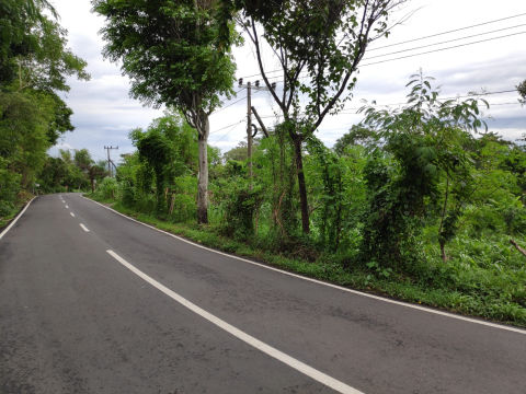 Dijual Tanah Jalan Raya Taman Safari Watuagung Prigen Pasuruan