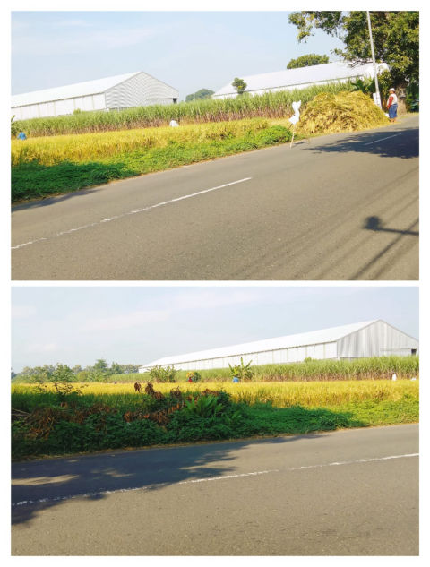 Dijual Tanah Raya Puri Mojokerto