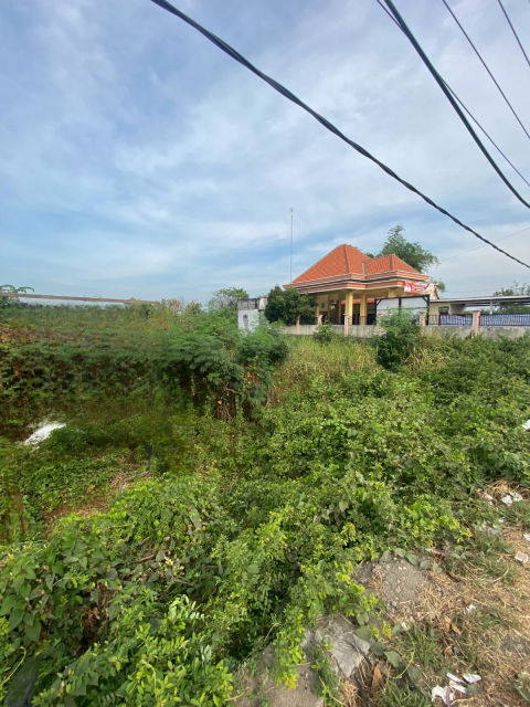 Dijual Tanah Iker-Iker Cerme, Gresik