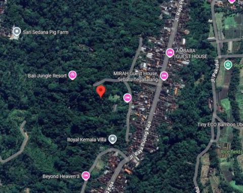 Dijual Tanah Ubud Raya Pujung Kaja Bali
