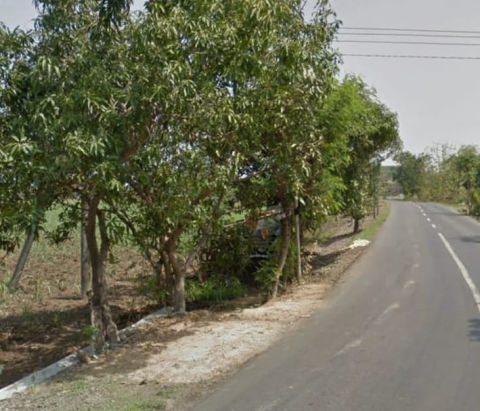 Dijual Tanah Simongagrok Dawarblandong Mojokerto