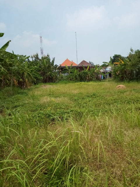 Dijual Tanah Wringinanom, Gresik