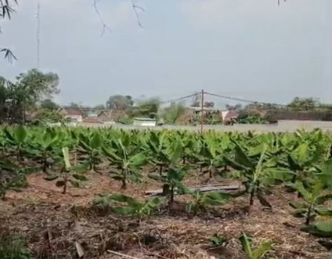 Dijual Tanah Jalan Raya Jetis Jolotundo Mojokerto