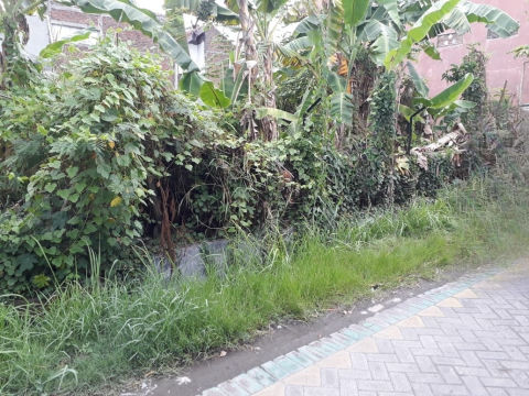 Dijual Tanah Medokan Semampir