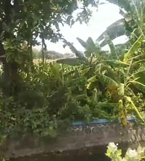 Dijual Tanah Industri Jalan Raya Kutorejo Mojosari